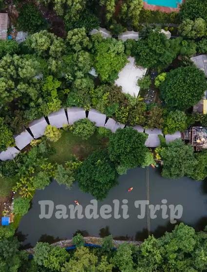 dandeli best resort 