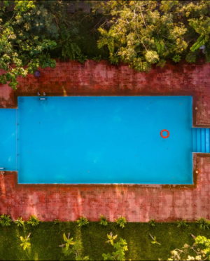 Dandeli Jungle Resort